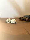 Sweet White Bouquet Earrings